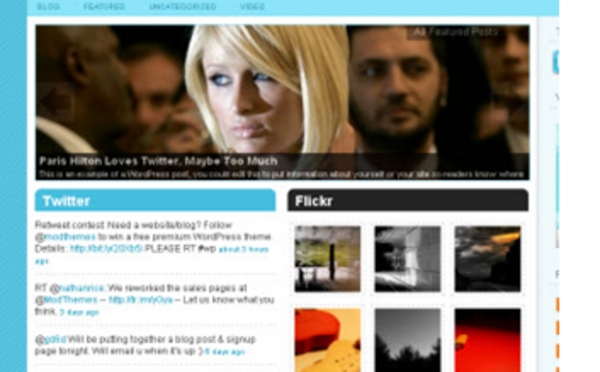 Product picture Premium ModThemes WordPress Theme